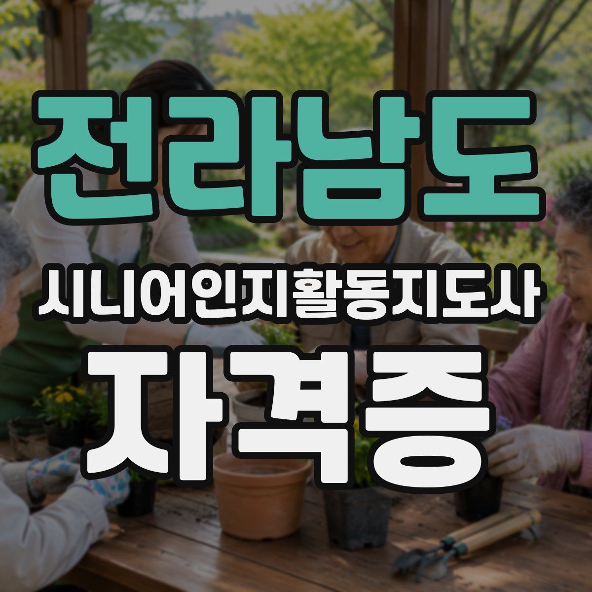 전라남도 시니어인지활동지도사 자격증