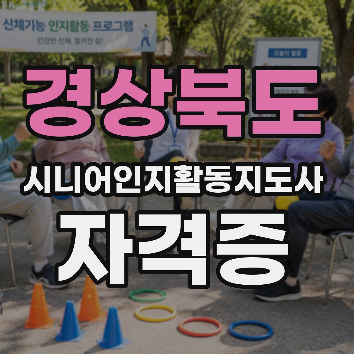 경상북도 시니어인지활동지도사 자격증