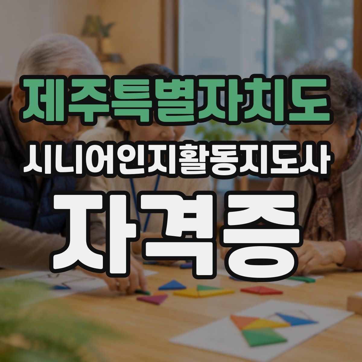 제주특별자치도 시니어인지활동지도사 자격증
