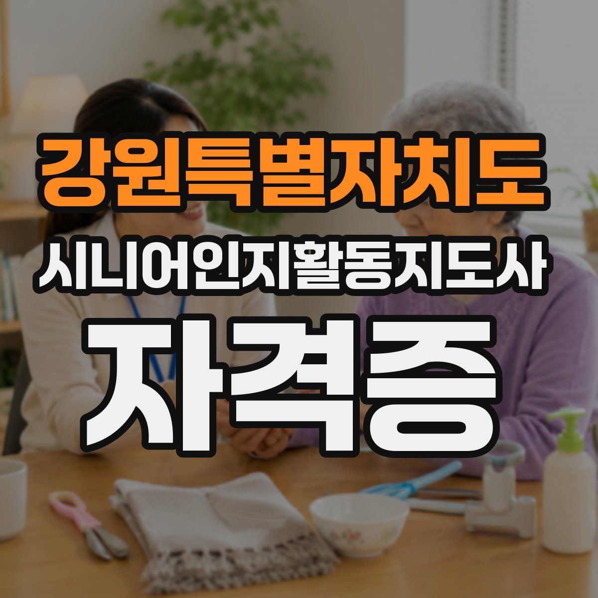 강원특별자치도 시니어인지활동지도사 자격증