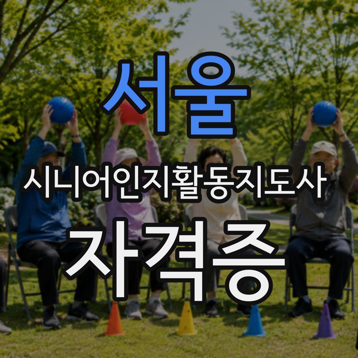 서울 시니어인지활동지도사 자격증
