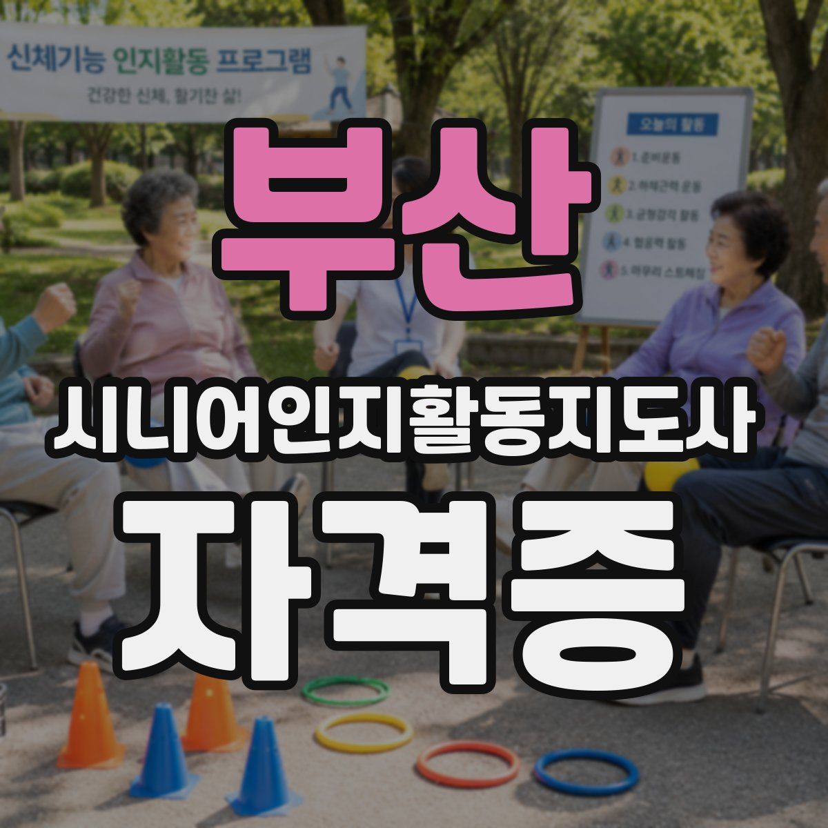 부산 시니어인지활동지도사 자격증