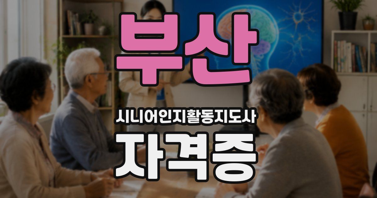 부산 시니어인지활동지도사 자격증