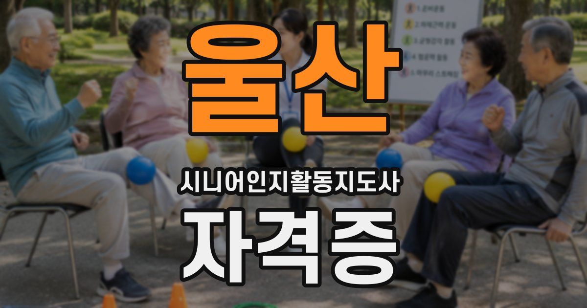 울산 시니어인지활동지도사 자격증