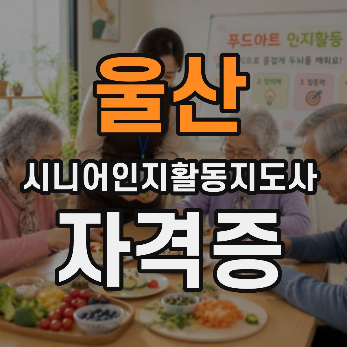 울산 시니어인지활동지도사 자격증