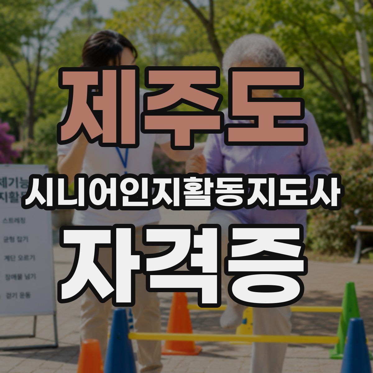 제주도 시니어인지활동지도사 자격증
