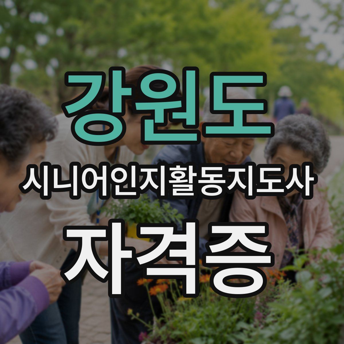 강원도 시니어인지활동지도사 자격증