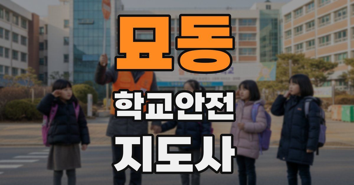 묘동 학교안전지도사 자격증