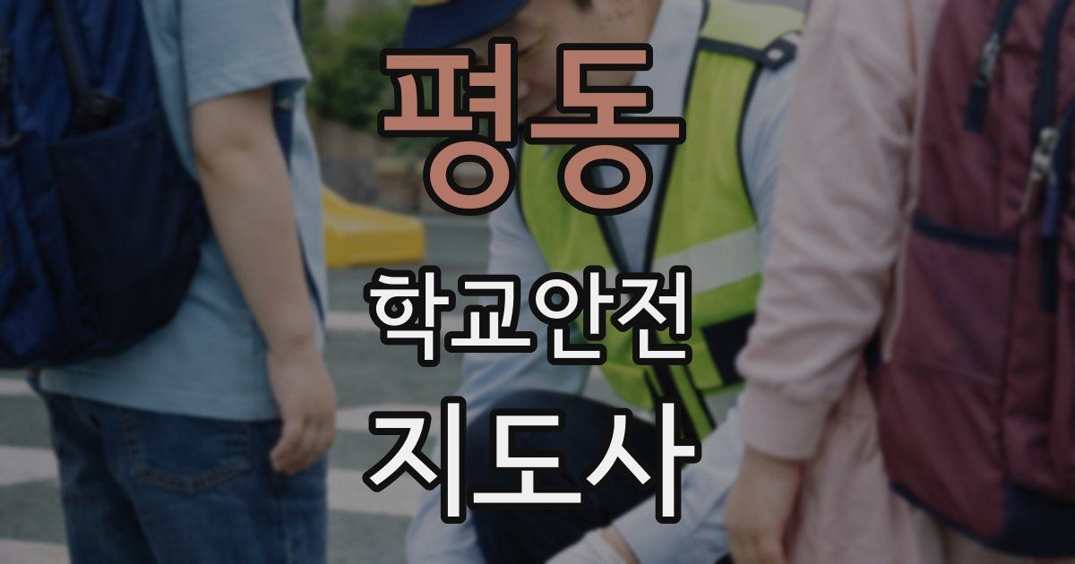 평동 학교안전지도사 자격증