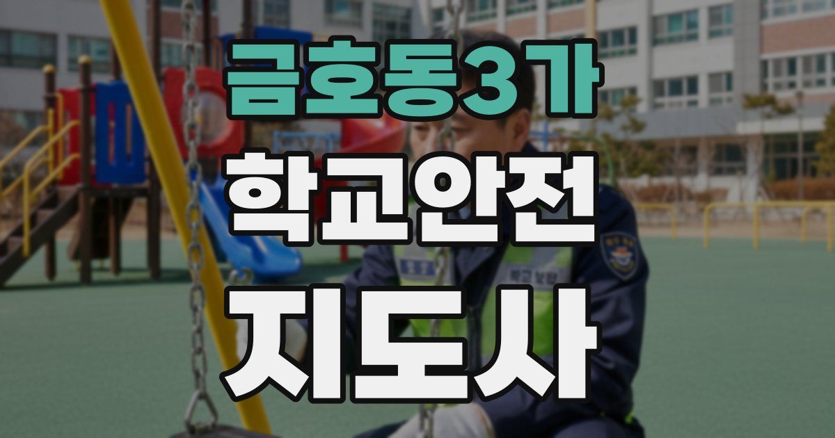 금호동3가 학교안전지도사 자격증