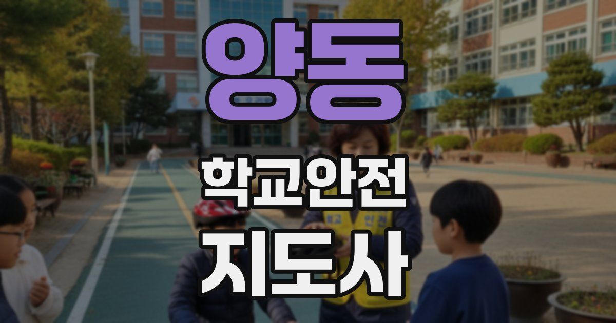양동 학교안전지도사 자격증