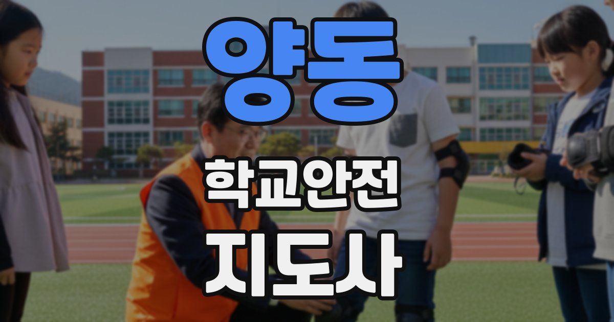 양동 학교안전지도사 자격증