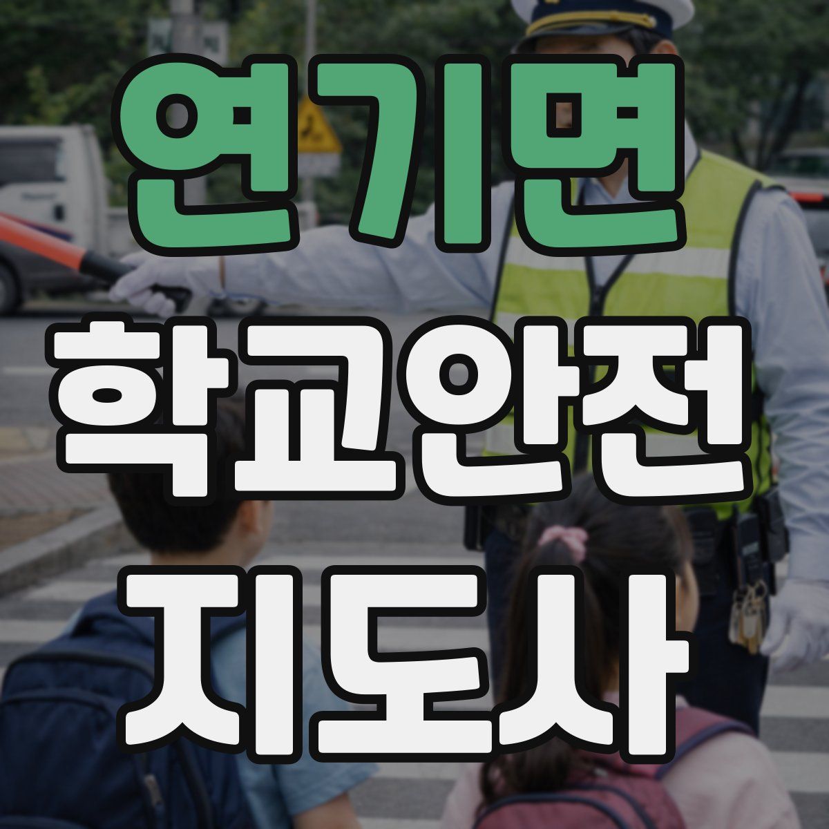 연기면 학교안전지도사 자격증