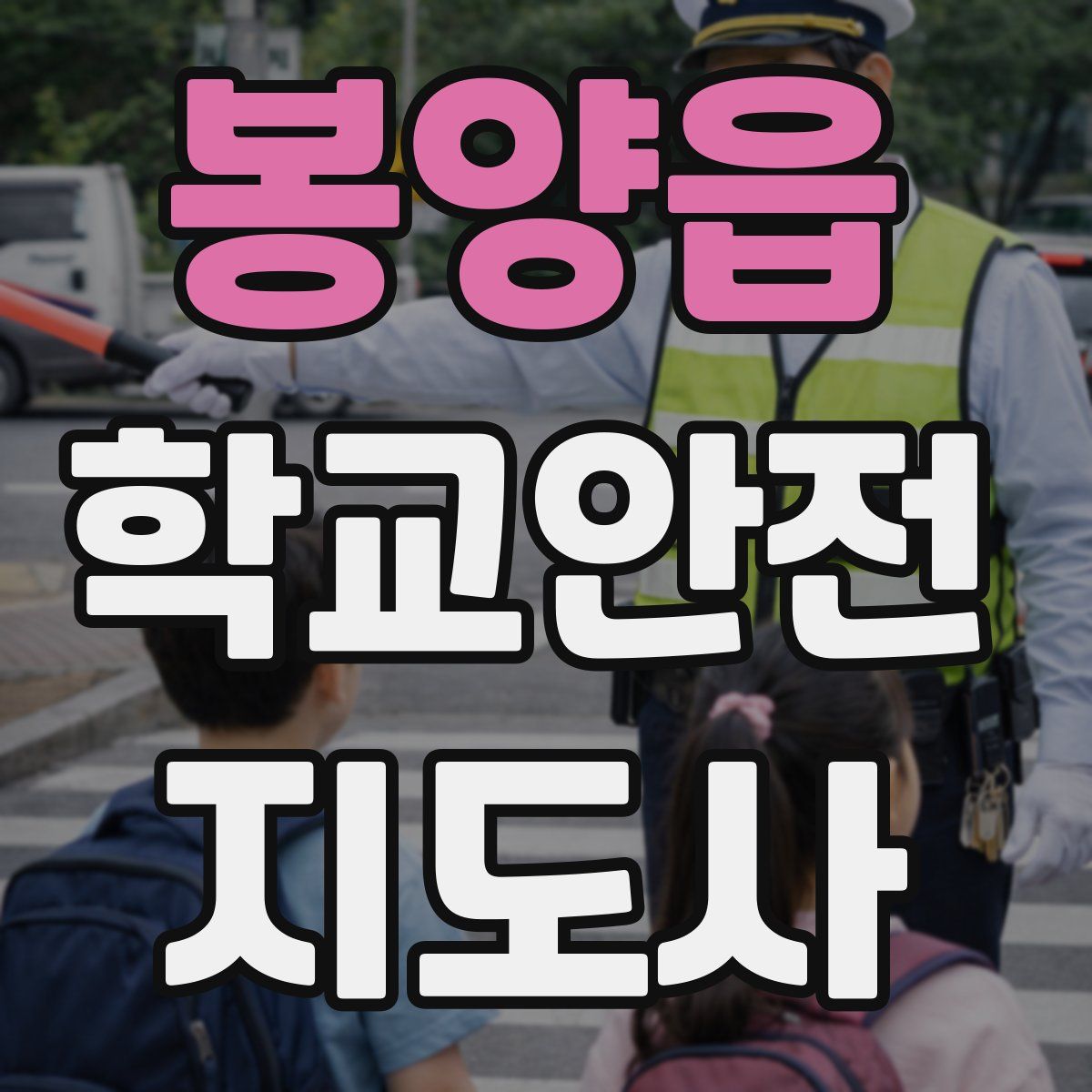 봉양읍 학교안전지도사 자격증