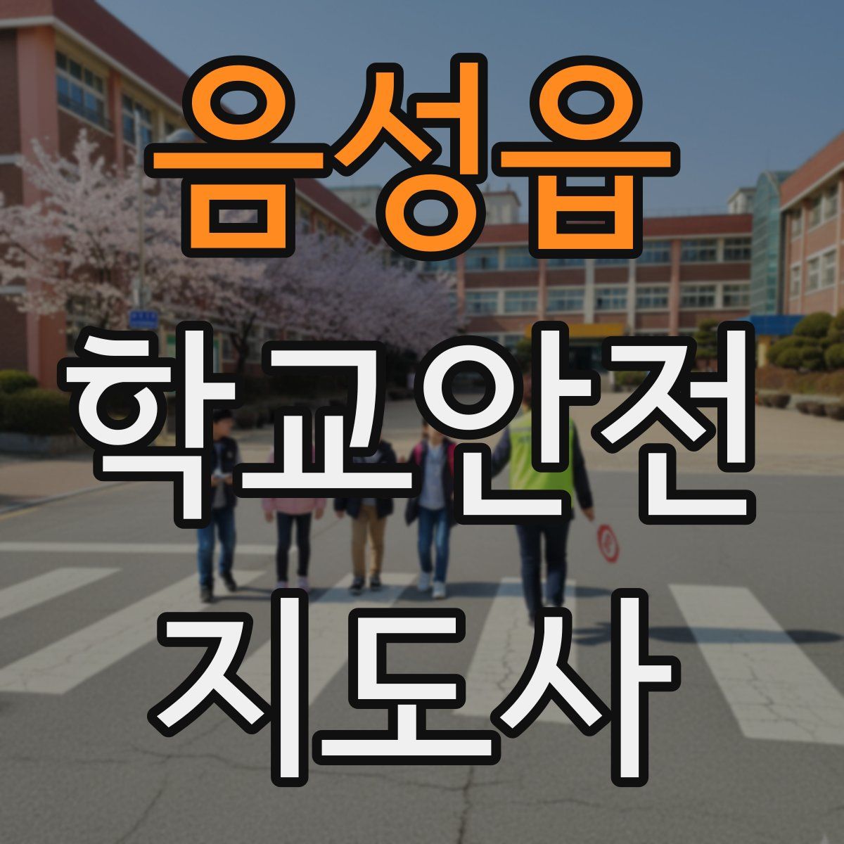 음성읍 학교안전지도사 자격증