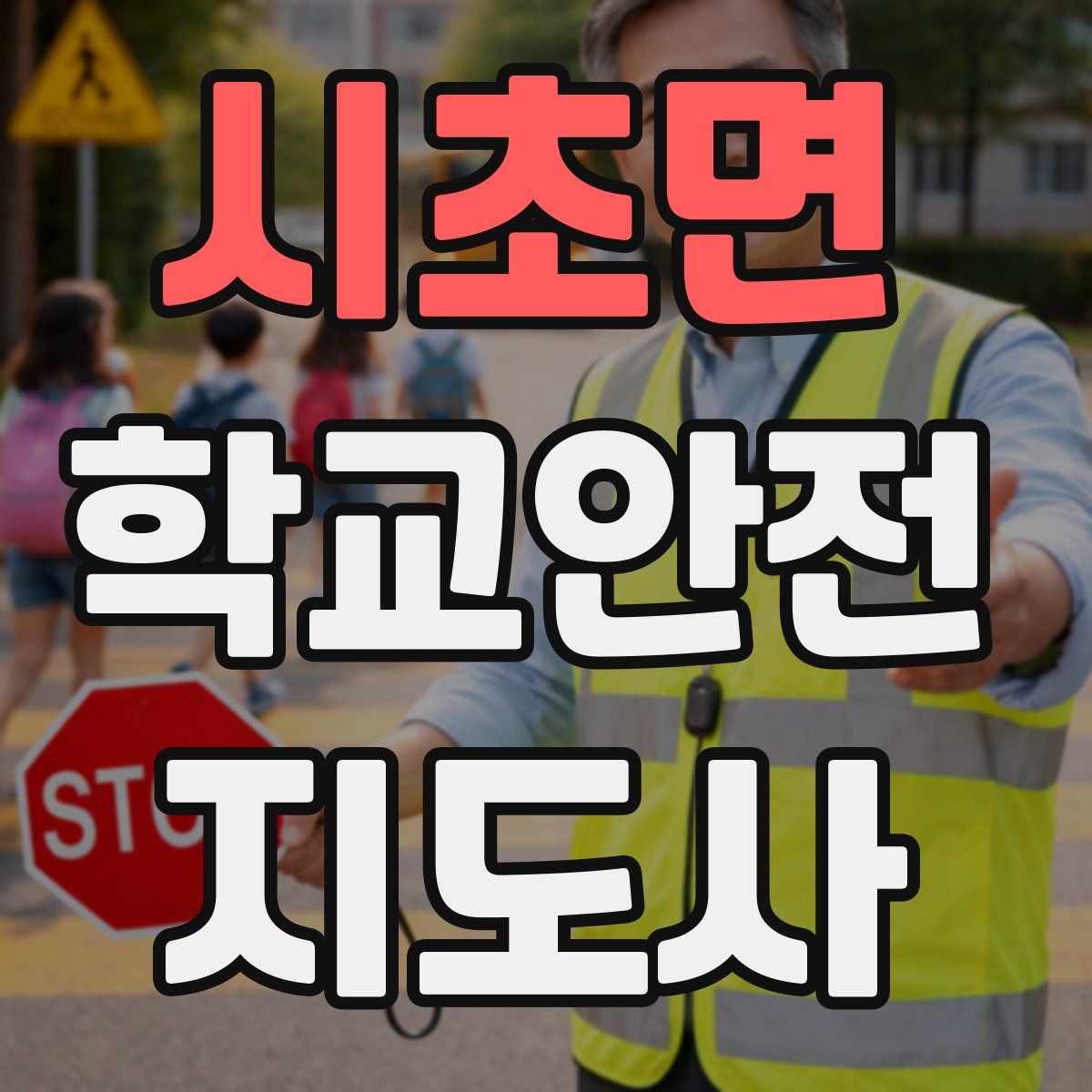 시초면 학교안전지도사 자격증