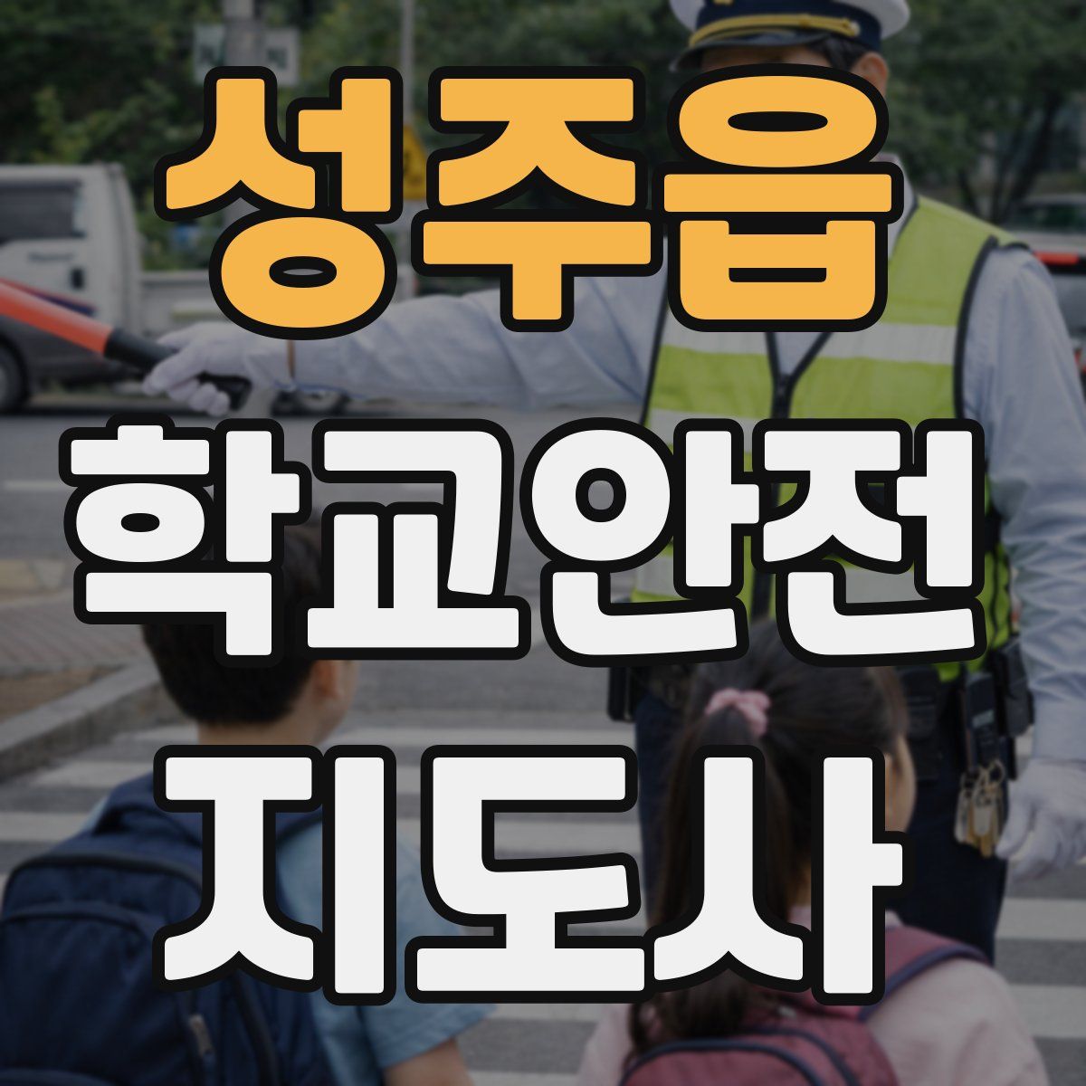 성주읍 학교안전지도사 자격증
