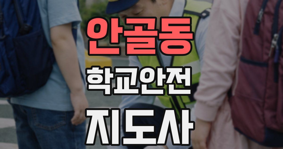 안골동 학교안전지도사 자격증