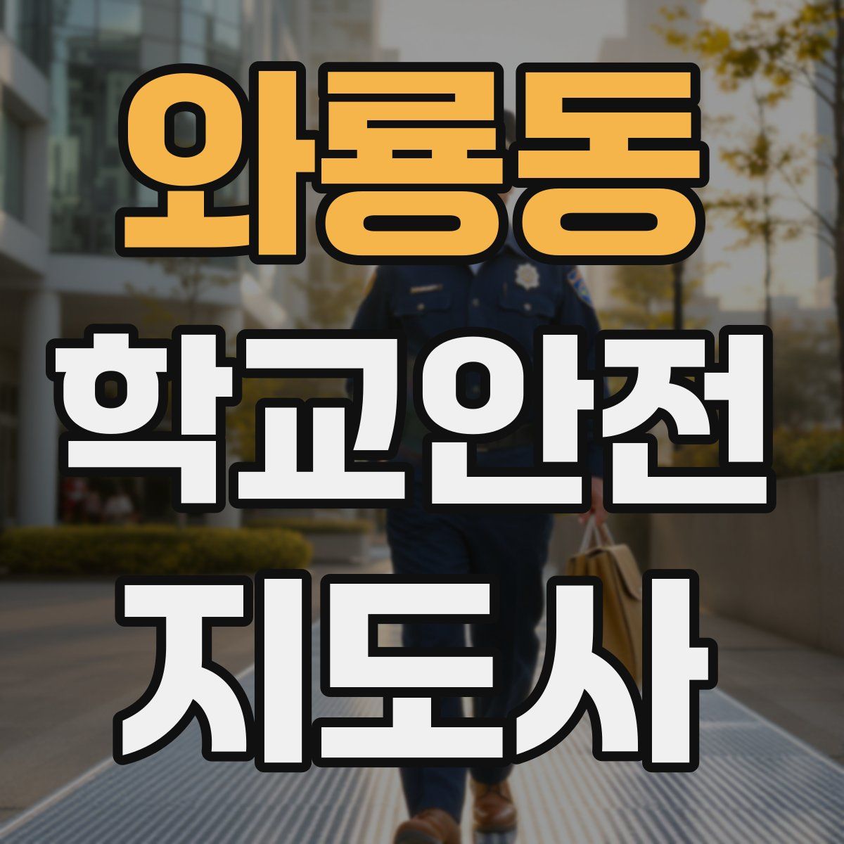 와룡동 학교안전지도사 자격증