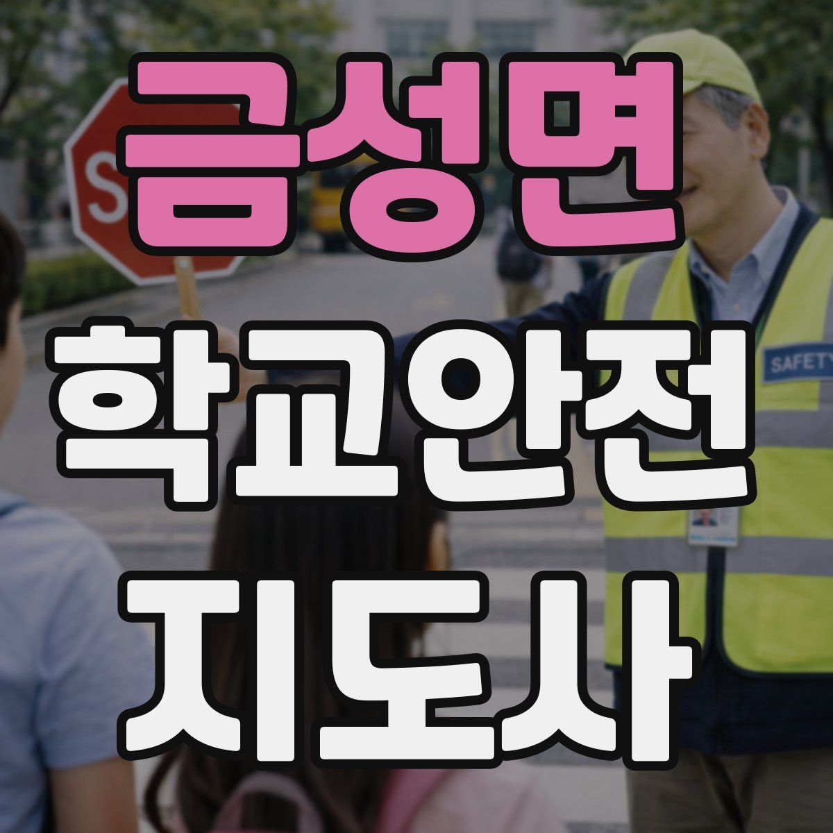 금성면 학교안전지도사 자격증