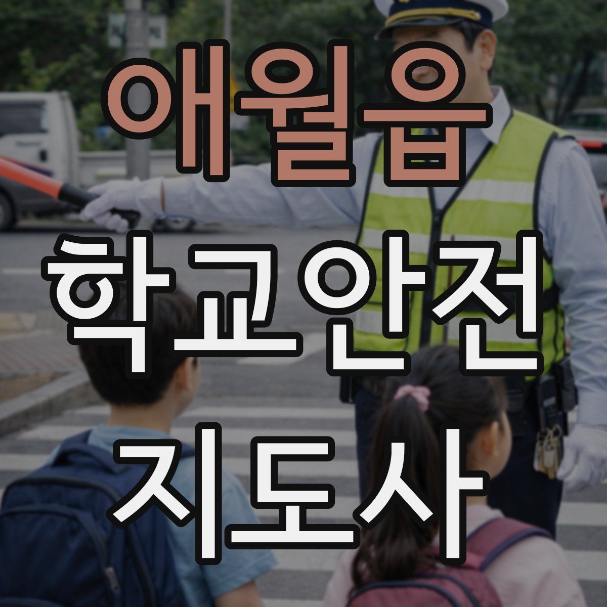 애월읍 학교안전지도사 자격증