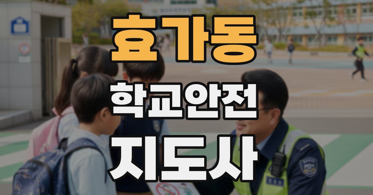 효가동 학교안전지도사 자격증