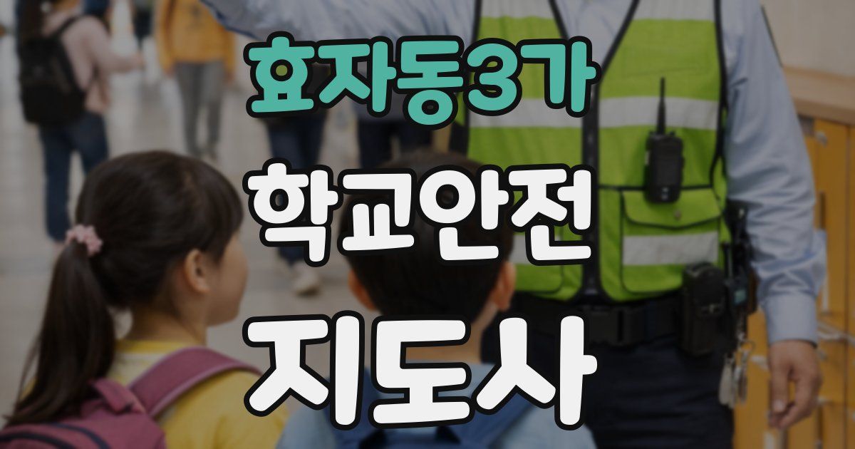 효자동3가 학교안전지도사 자격증