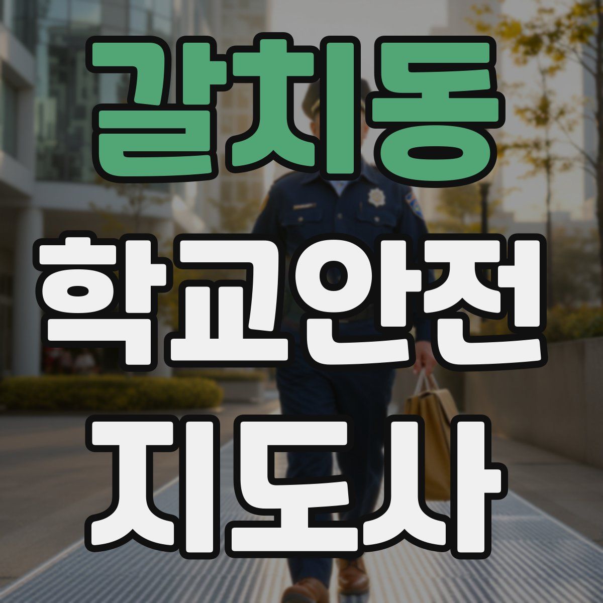 갈치동 학교안전지도사 자격증