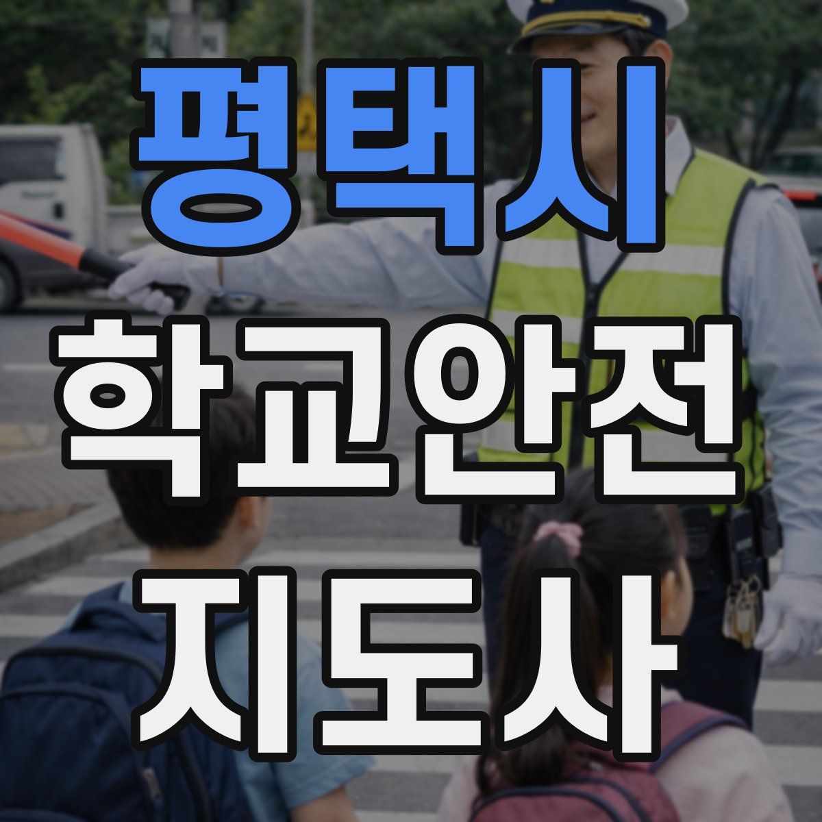 평택시 학교안전지도사 자격증