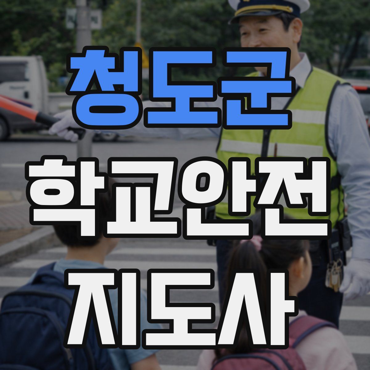 청도군 학교안전지도사 자격증