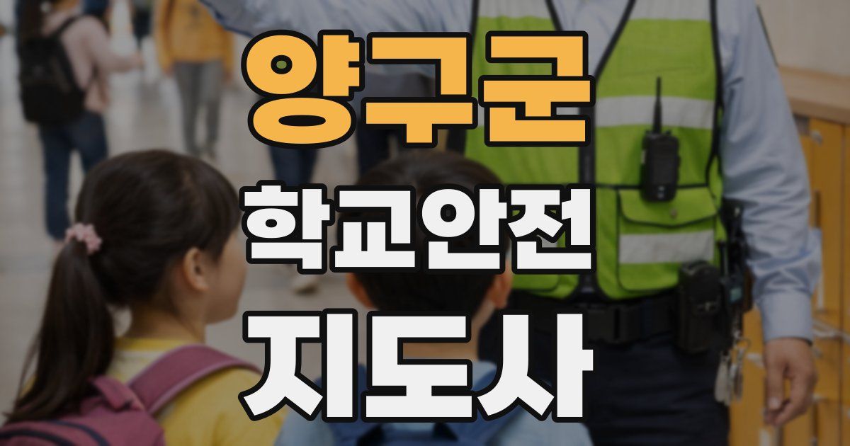 양구군 학교안전지도사 자격증