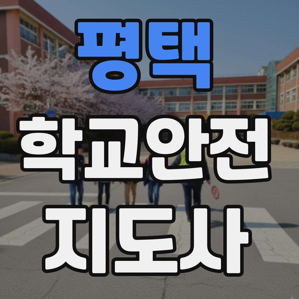 평택 학교안전지도사 자격증