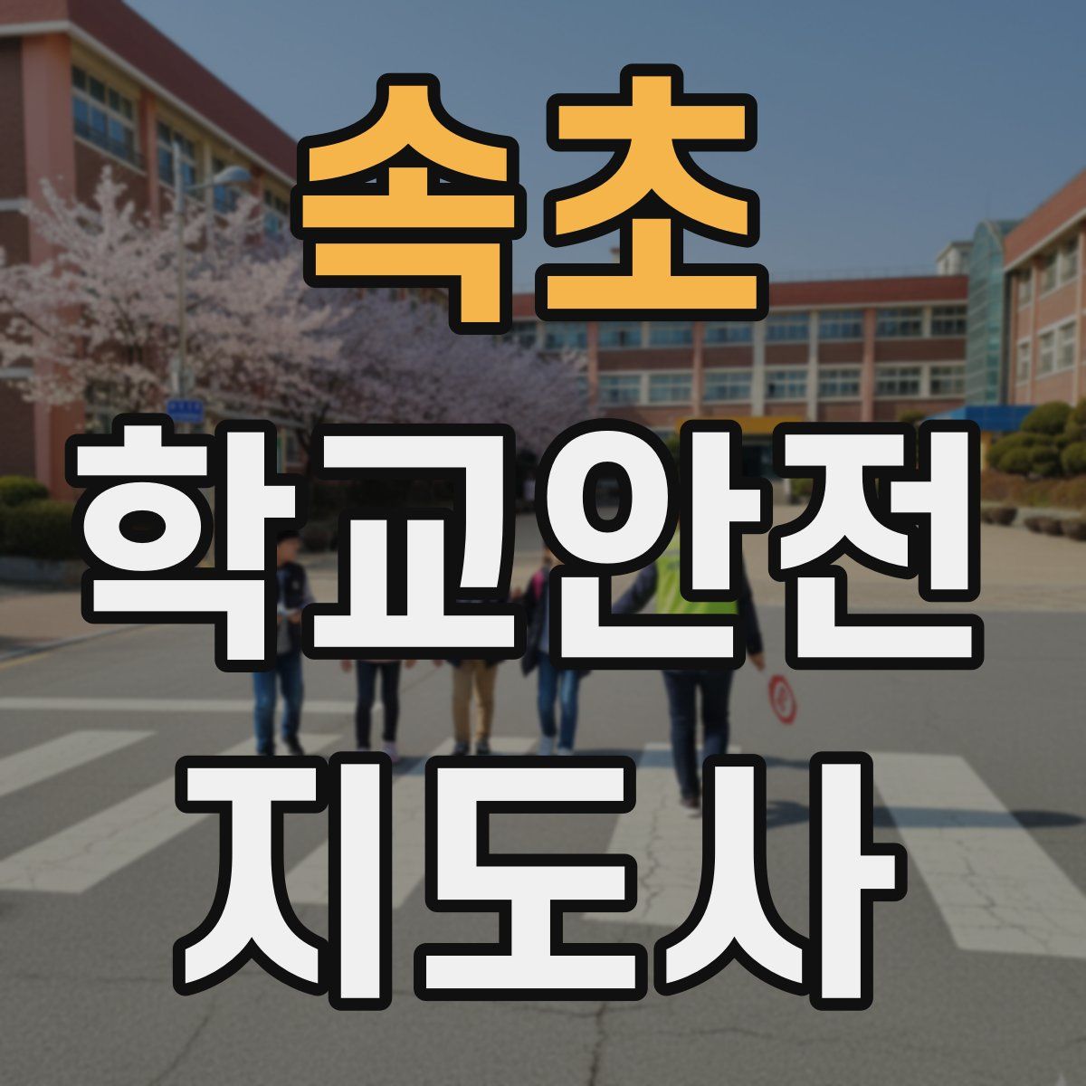 속초 학교안전지도사 자격증