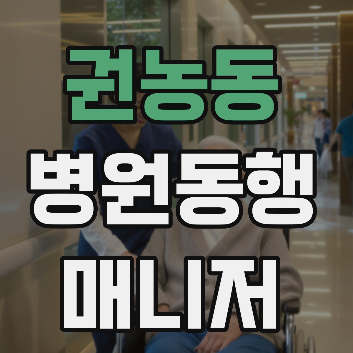 권농동 병원동행매니저 자격증