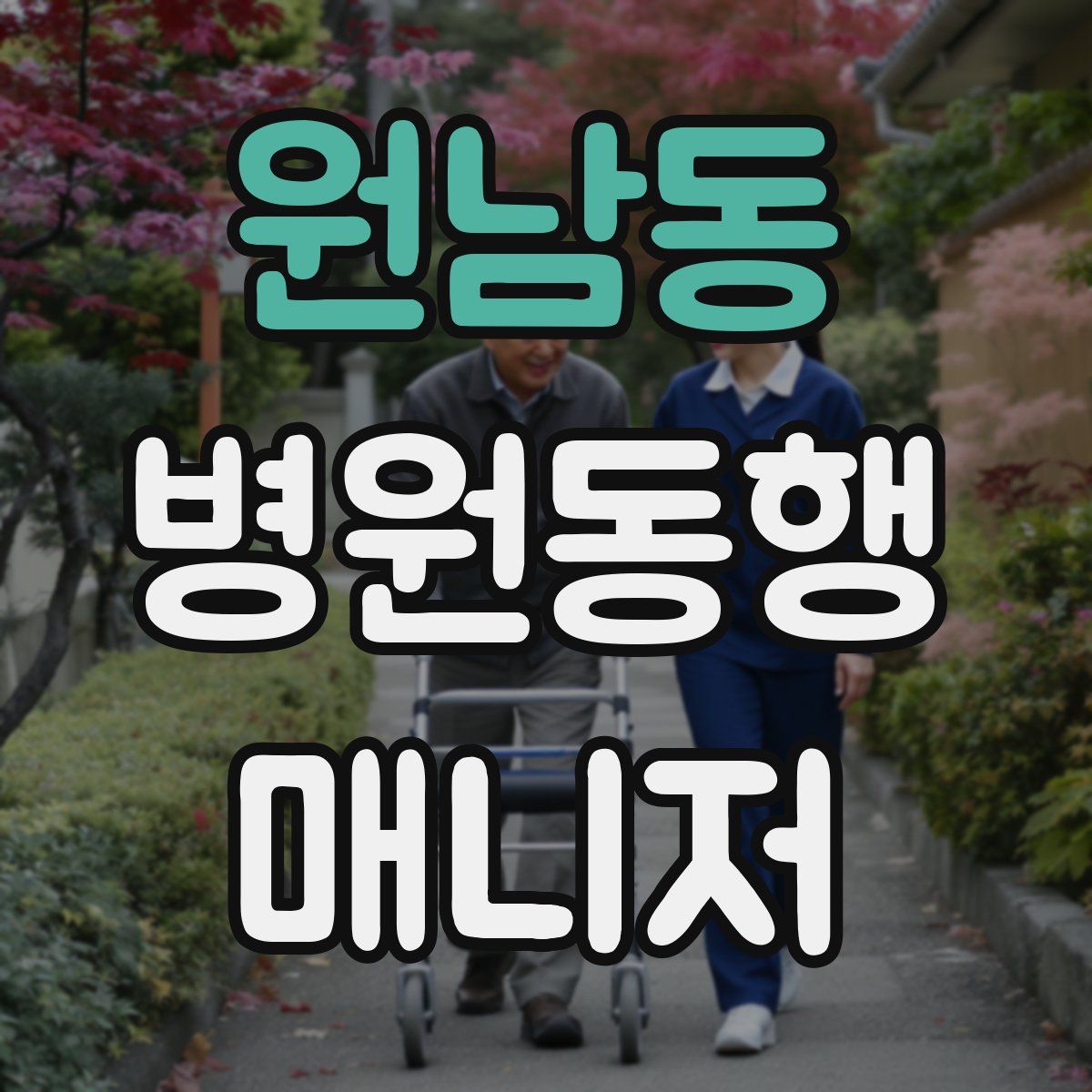 원남동 병원동행매니저 자격증