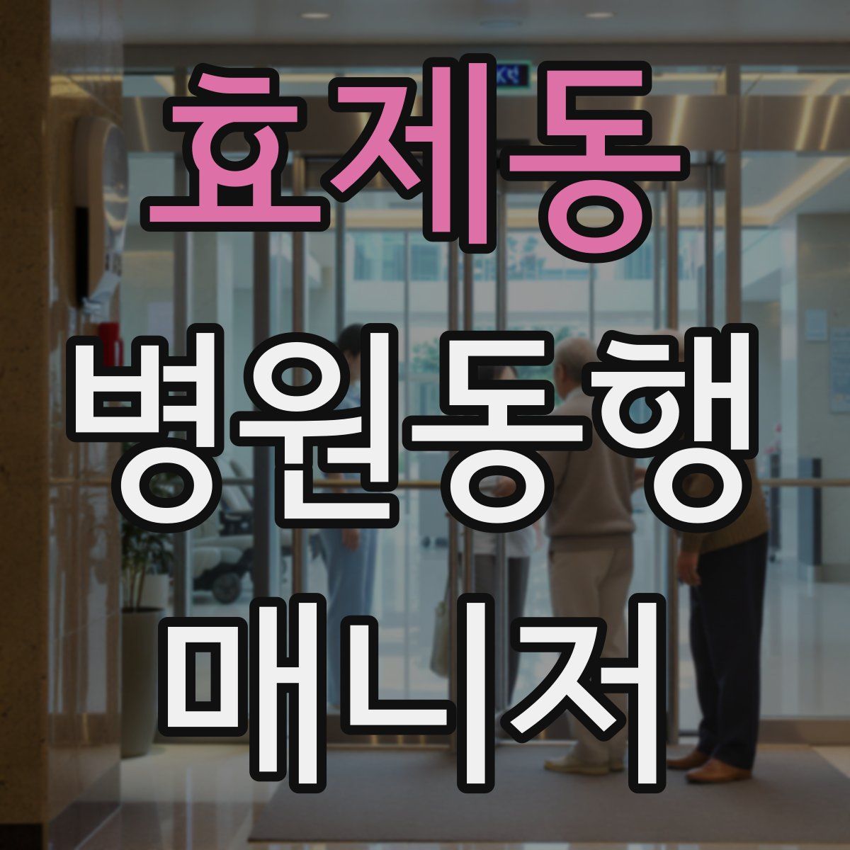 효제동 병원동행매니저 자격증