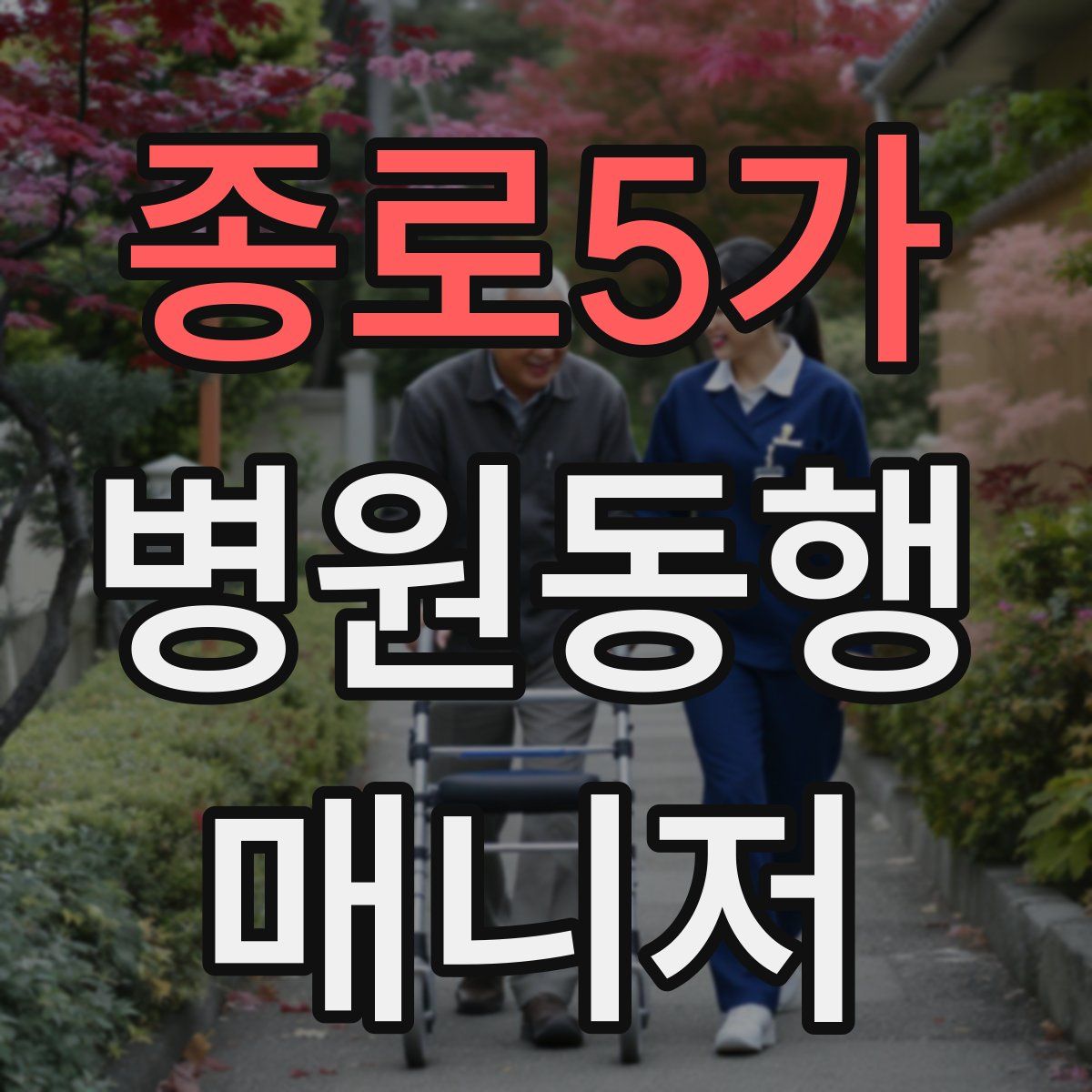 종로5가 병원동행매니저 자격증