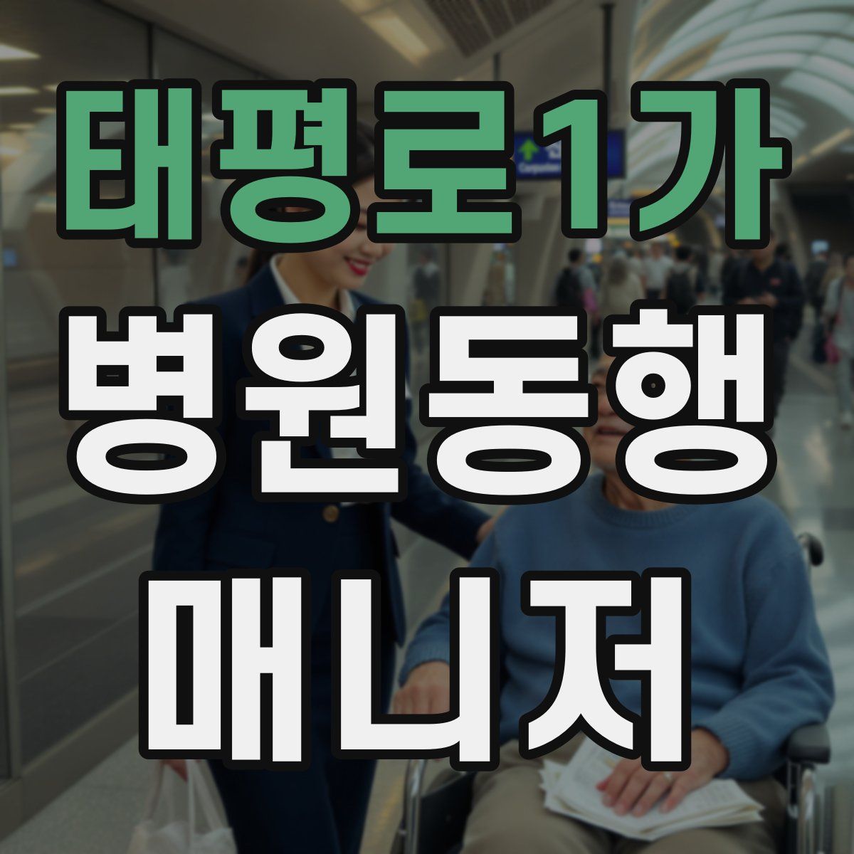 태평로1가 병원동행매니저 자격증