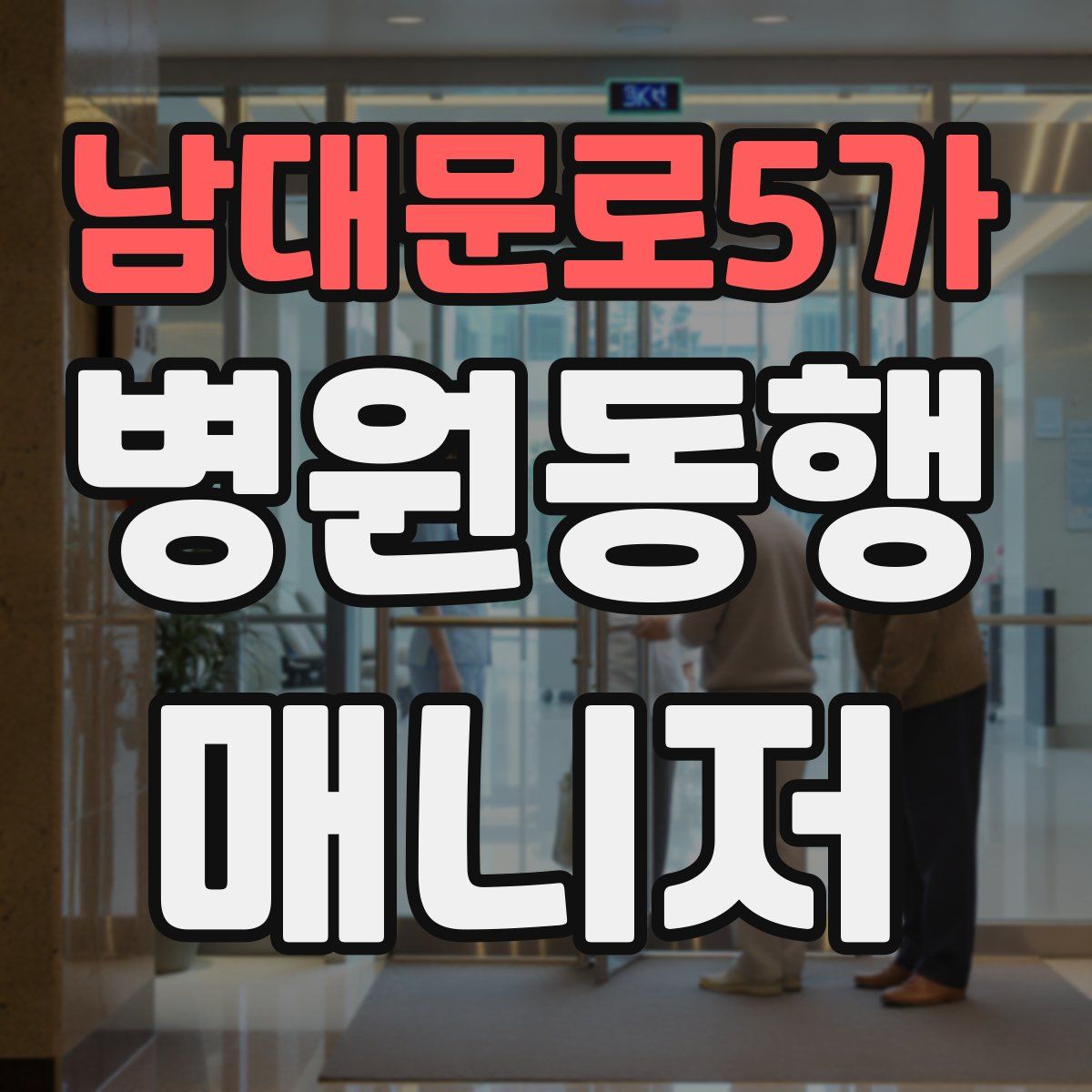 남대문로5가 병원동행매니저 자격증