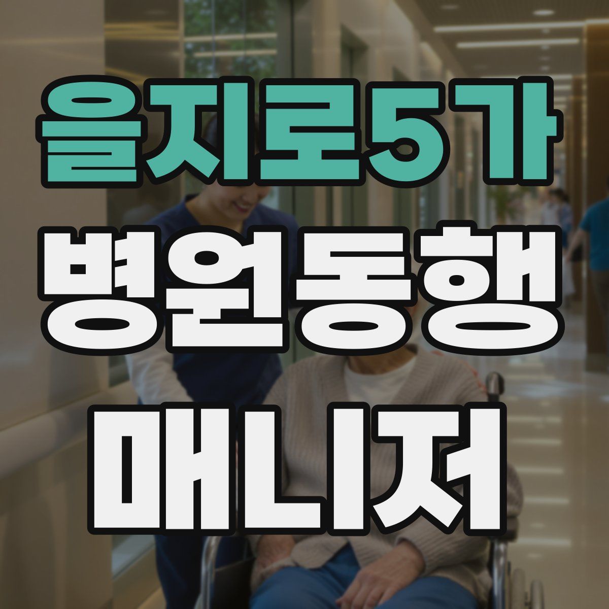 을지로5가 병원동행매니저 자격증