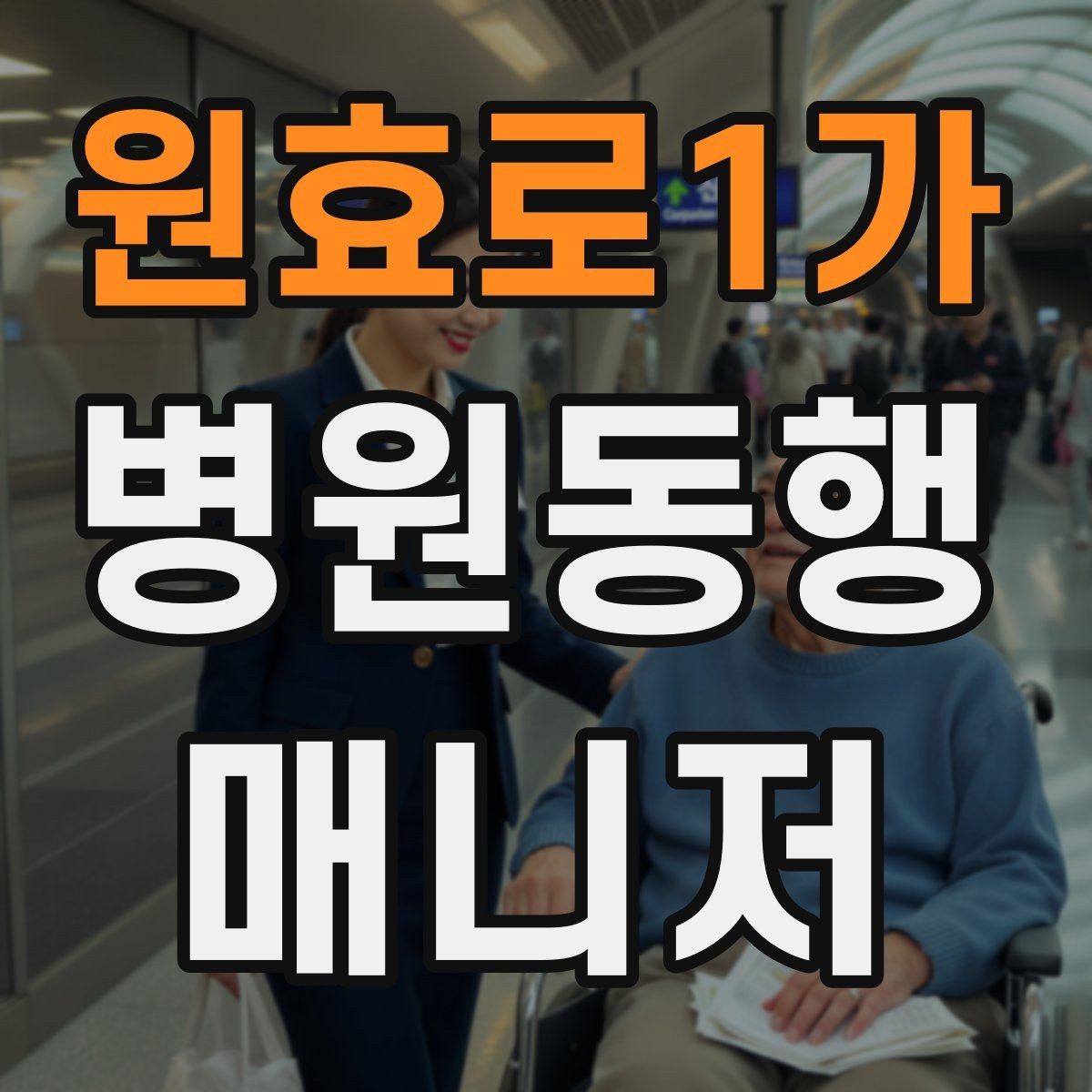 원효로1가 병원동행매니저 자격증 큰 병원에서 길 잃지 않는 요령