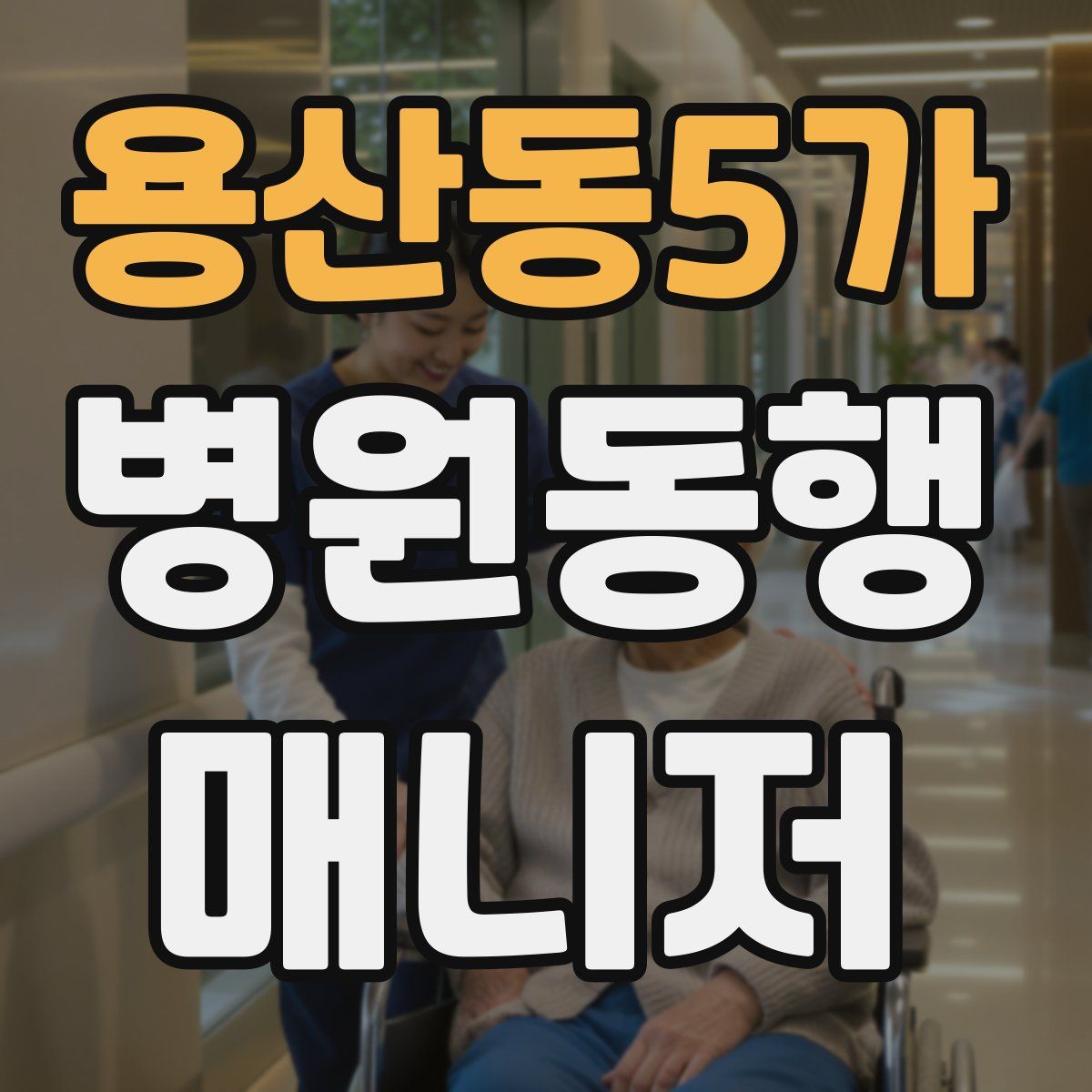 용산동5가 병원동행매니저 자격증