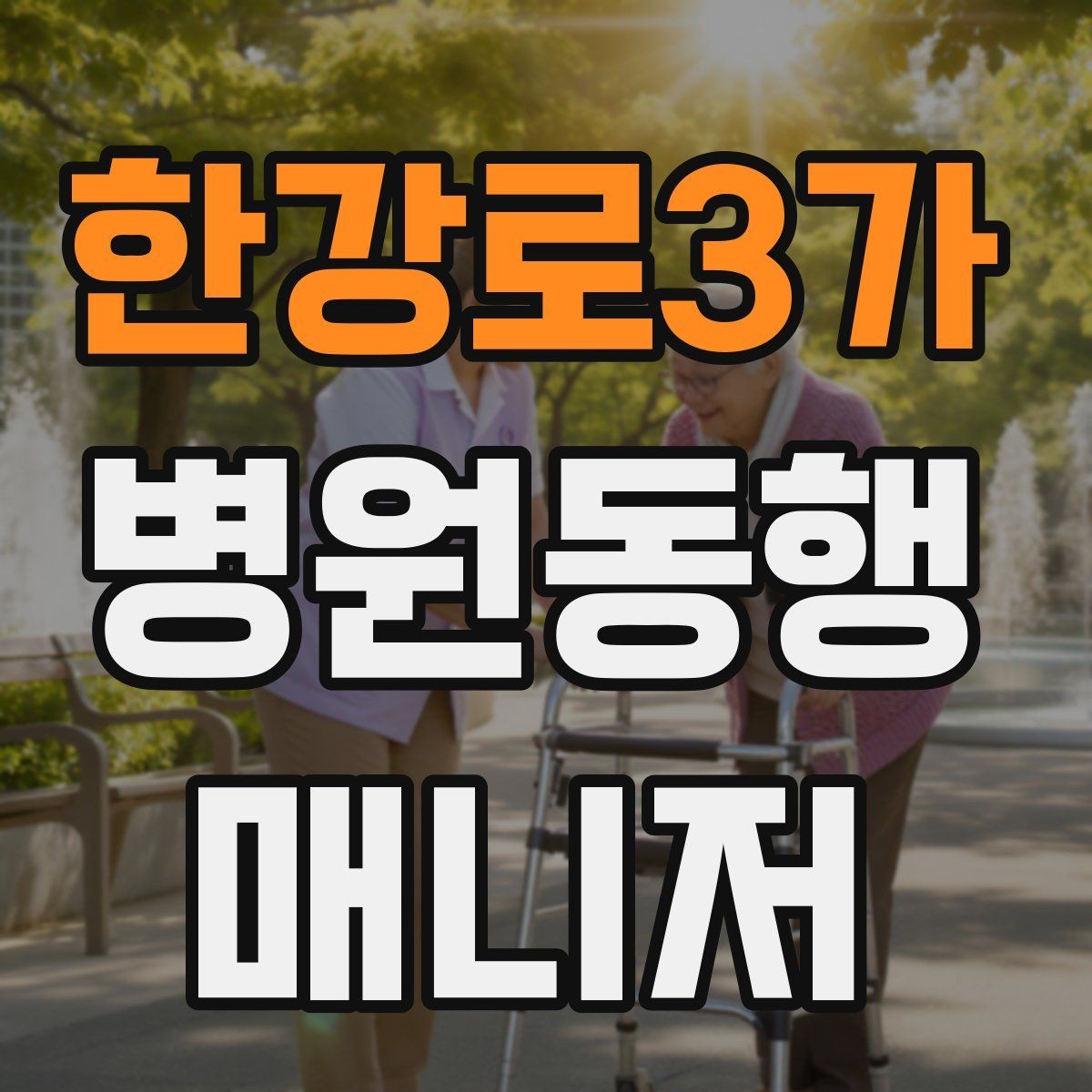 한강로3가 병원동행매니저 자격증 현장에서 자주 쓰는 표현 정리