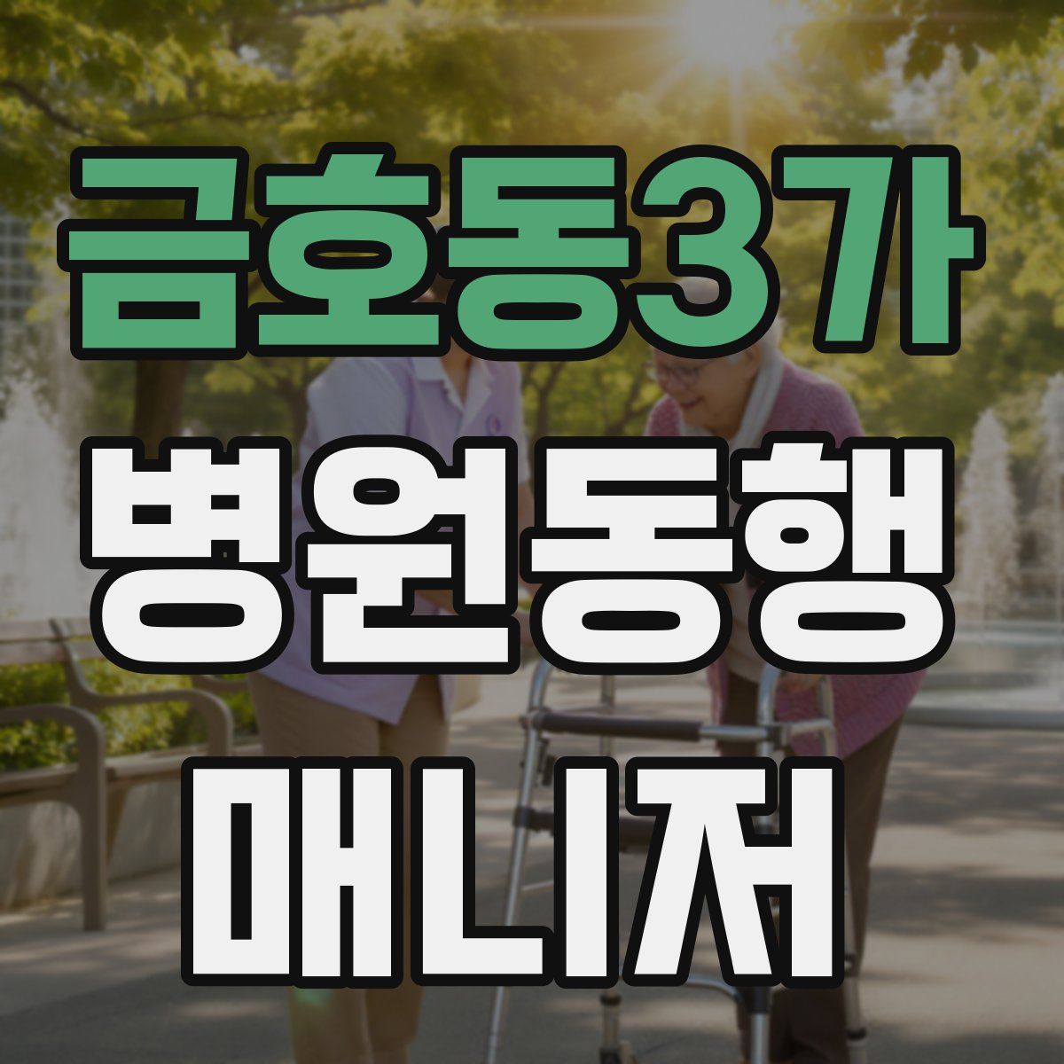 금호동3가 병원동행매니저 자격증