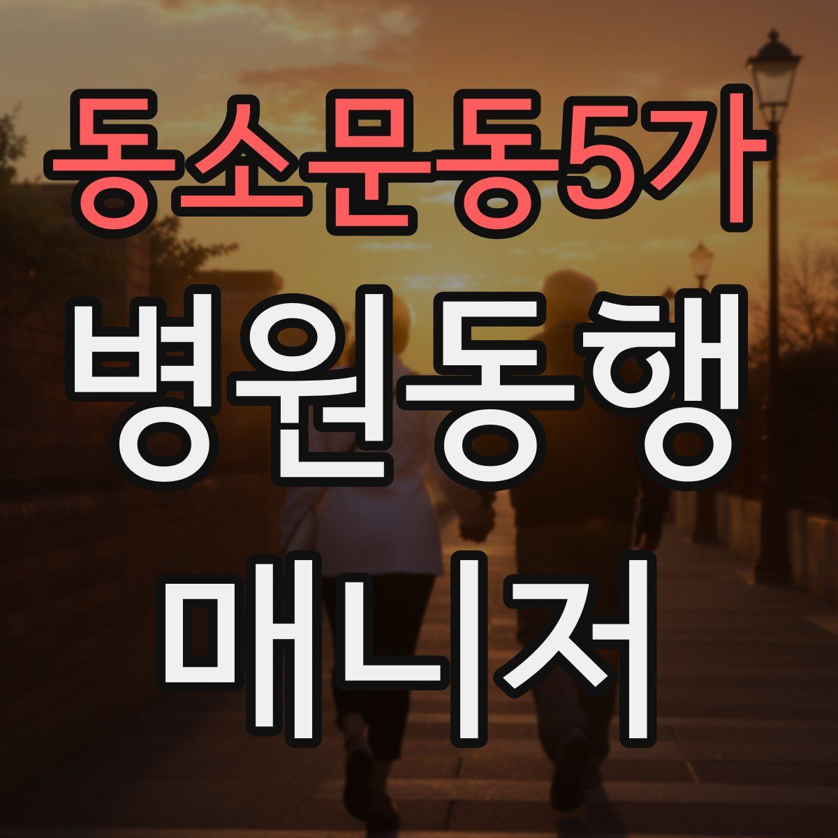 동소문동5가 병원동행매니저 자격증