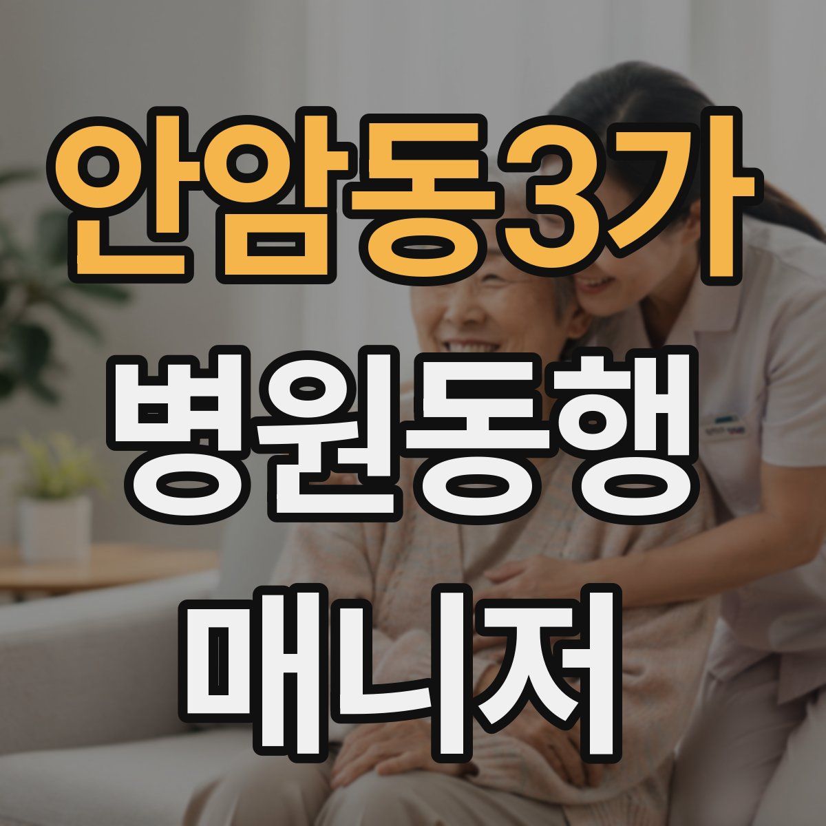 안암동3가 병원동행매니저 자격증