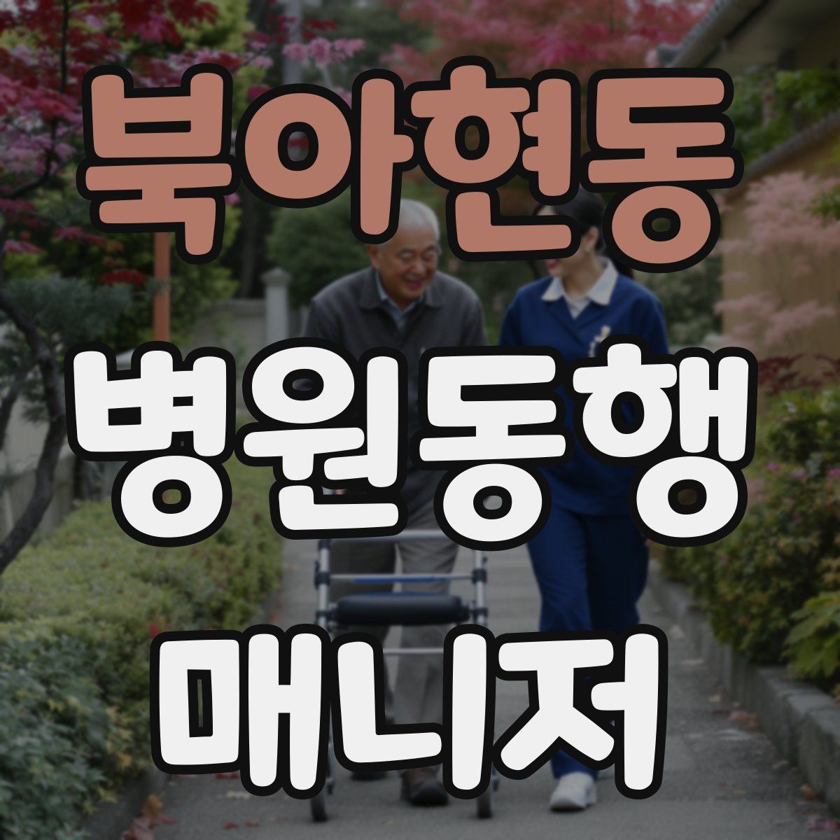 북아현동 병원동행매니저 자격증