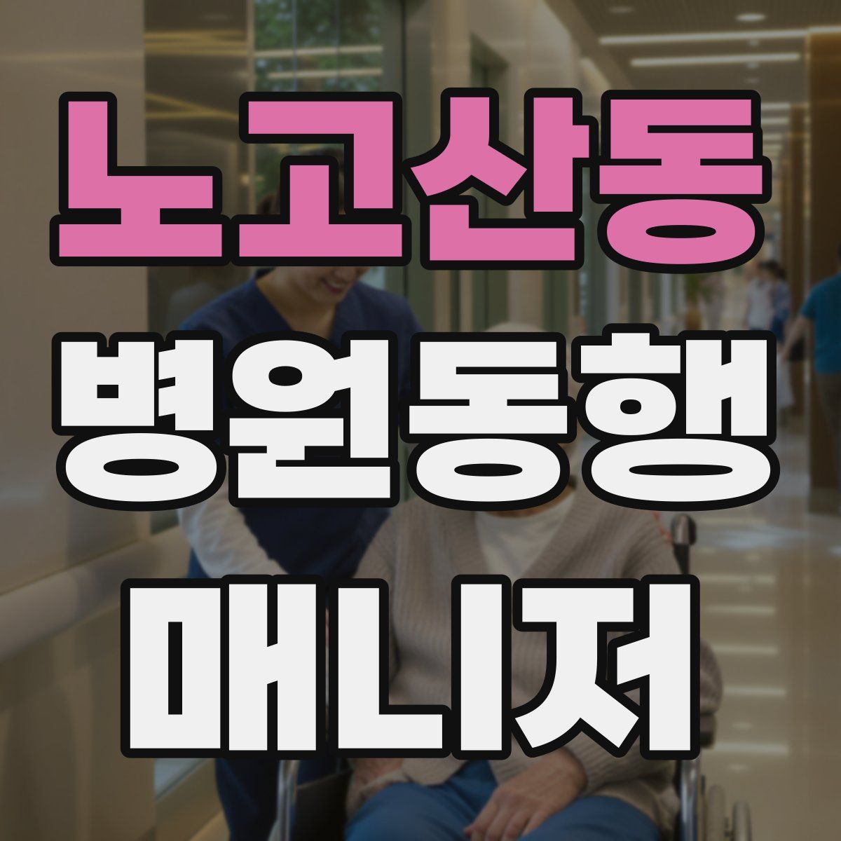 노고산동 병원동행매니저 자격증
