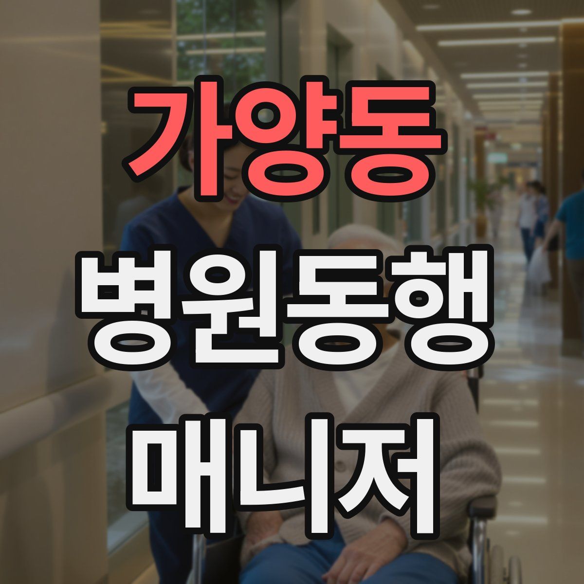 가양동 병원동행매니저 자격증
