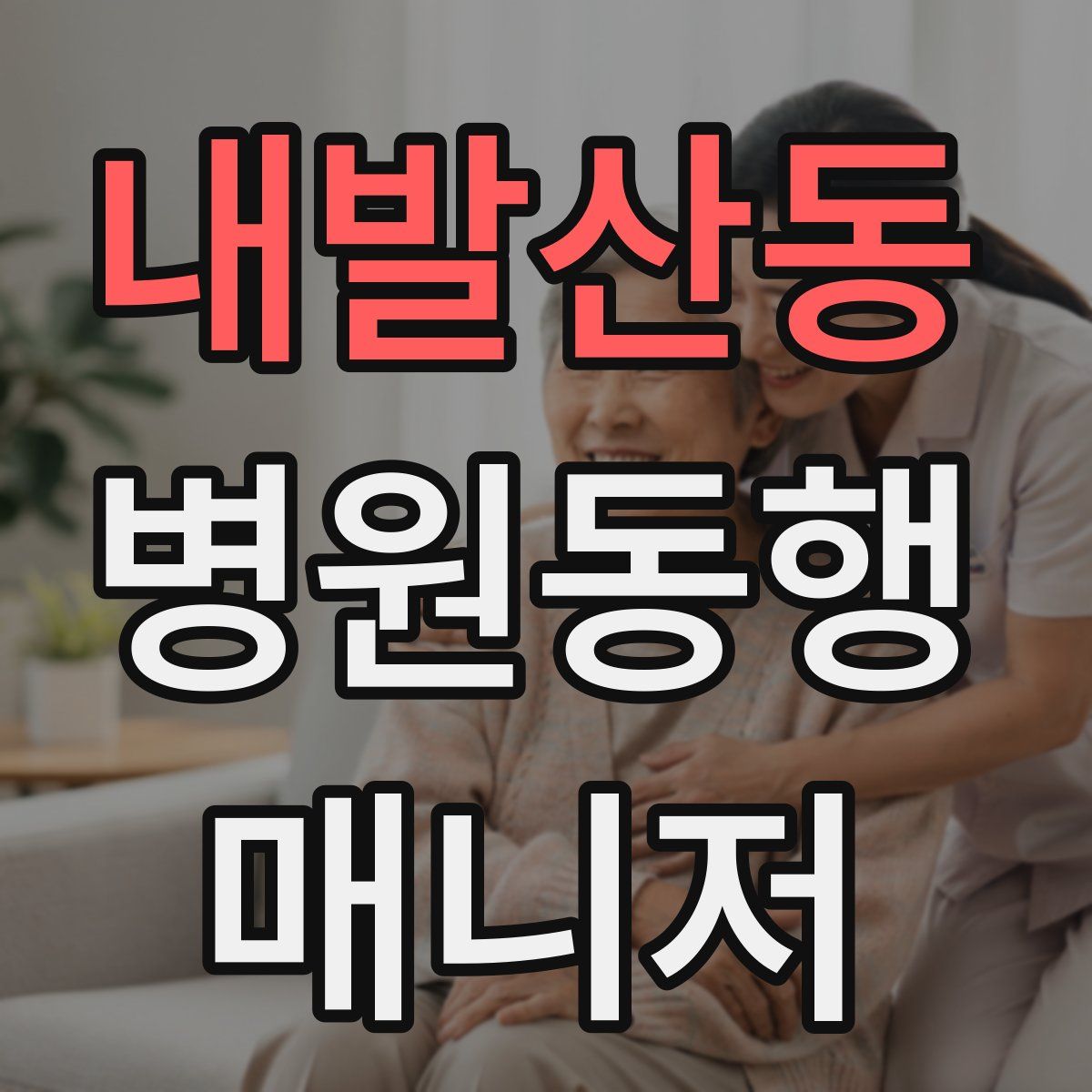 내발산동 병원동행매니저 자격증